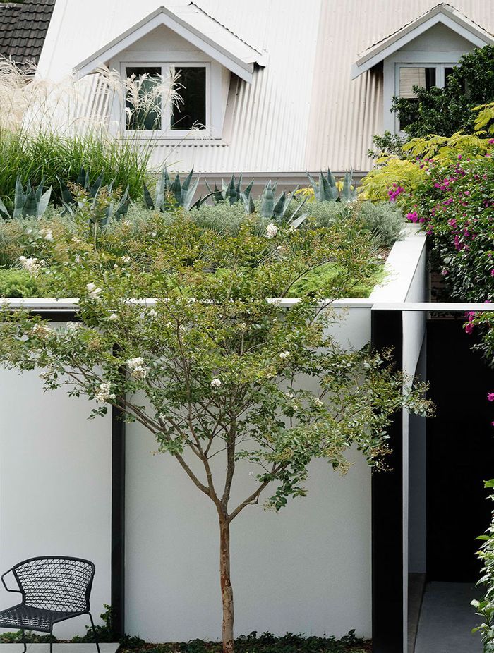 In the Zone: Visually separating a Granny Flat