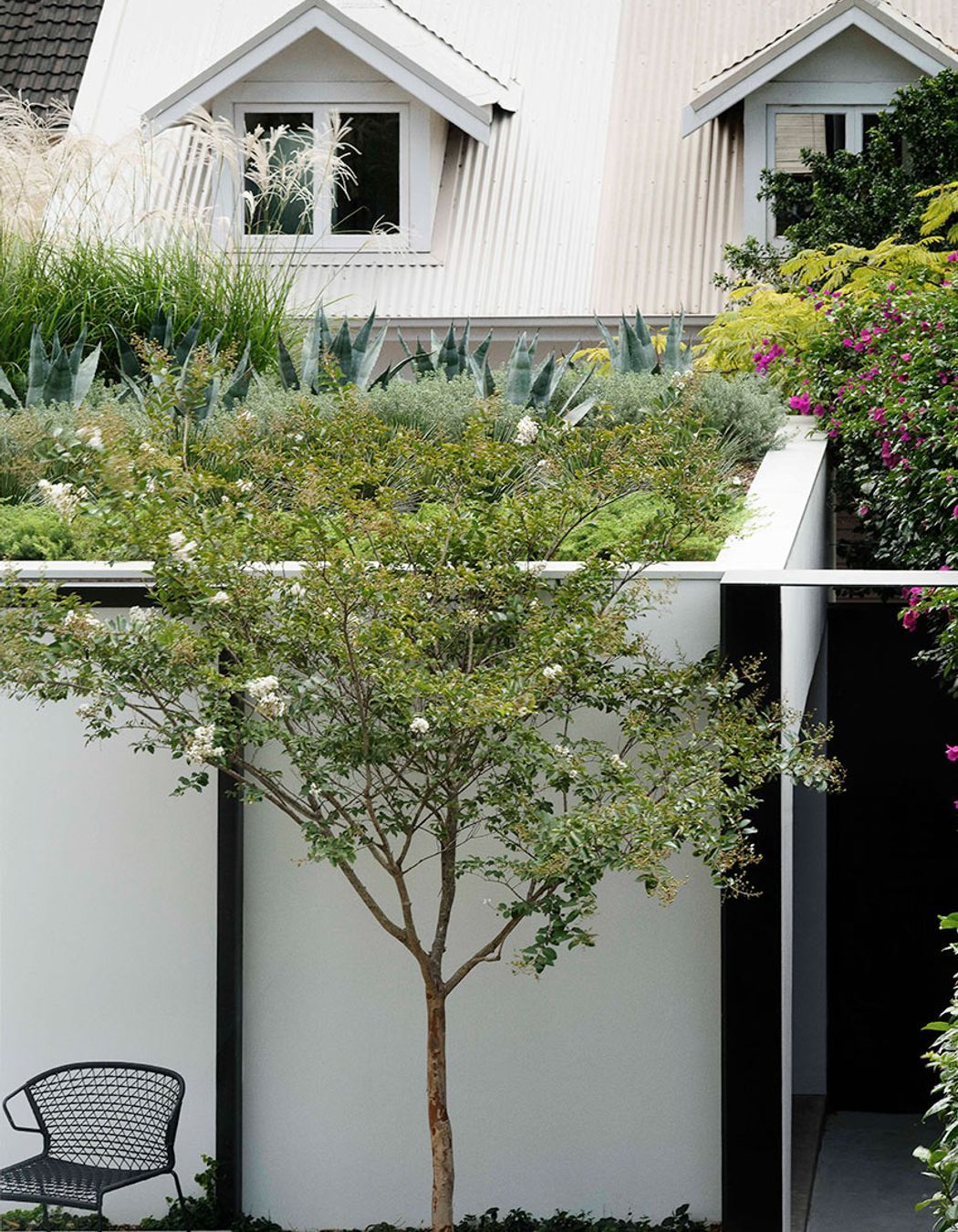 In the Zone: Visually separating a Granny Flat