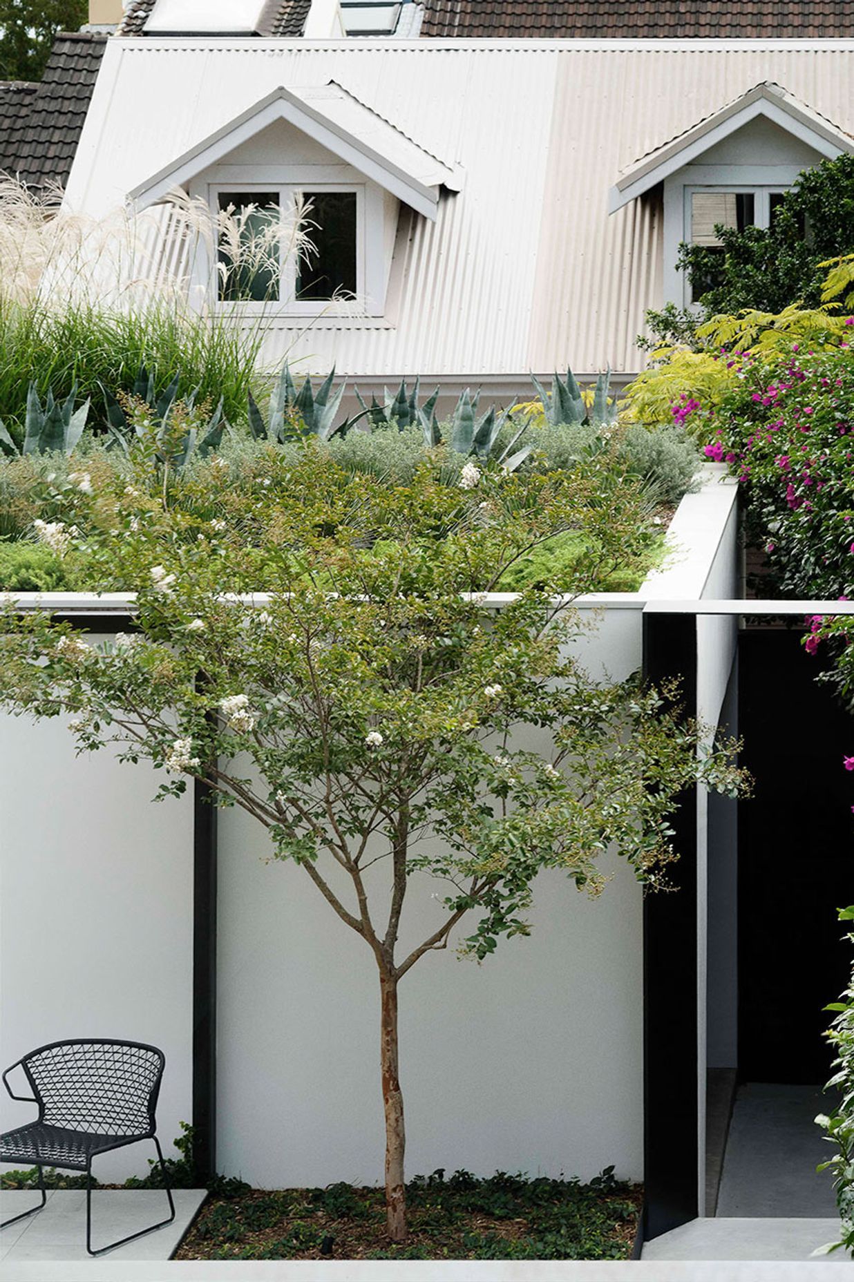 In the Zone: Visually separating a Granny Flat