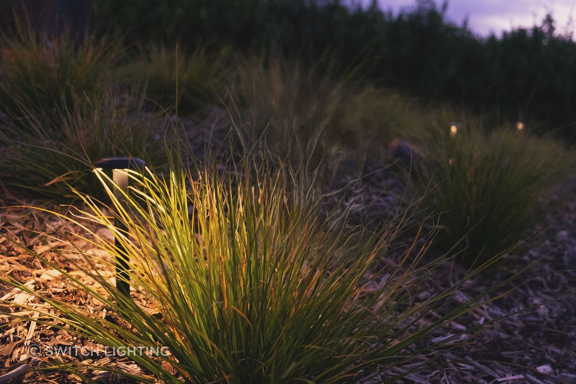 SL-Path-light-edit.jpg