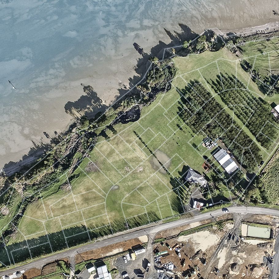 Developing potential with a project management expert