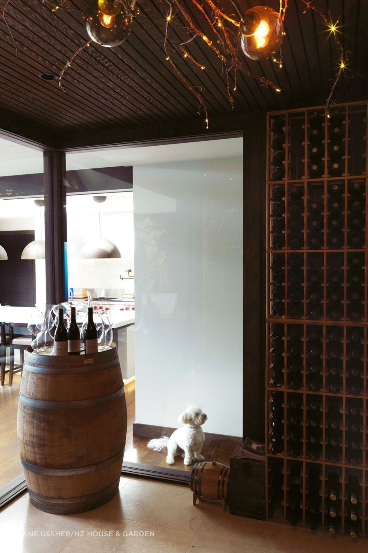 A new wine cellar opens to the family room; the couple spotted a light fitting made of merlot grapevines by James Russ at Tantalus Estate winery on Waiheke Island, so they commissioned him to make something similar; the newest member of the family, Archie, is a havanese, the national dog of Cuba.