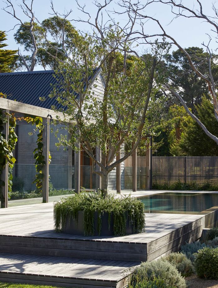 Honeysuckle House Shoreham by Planned Living Architects | Photography by Derek Swalwell