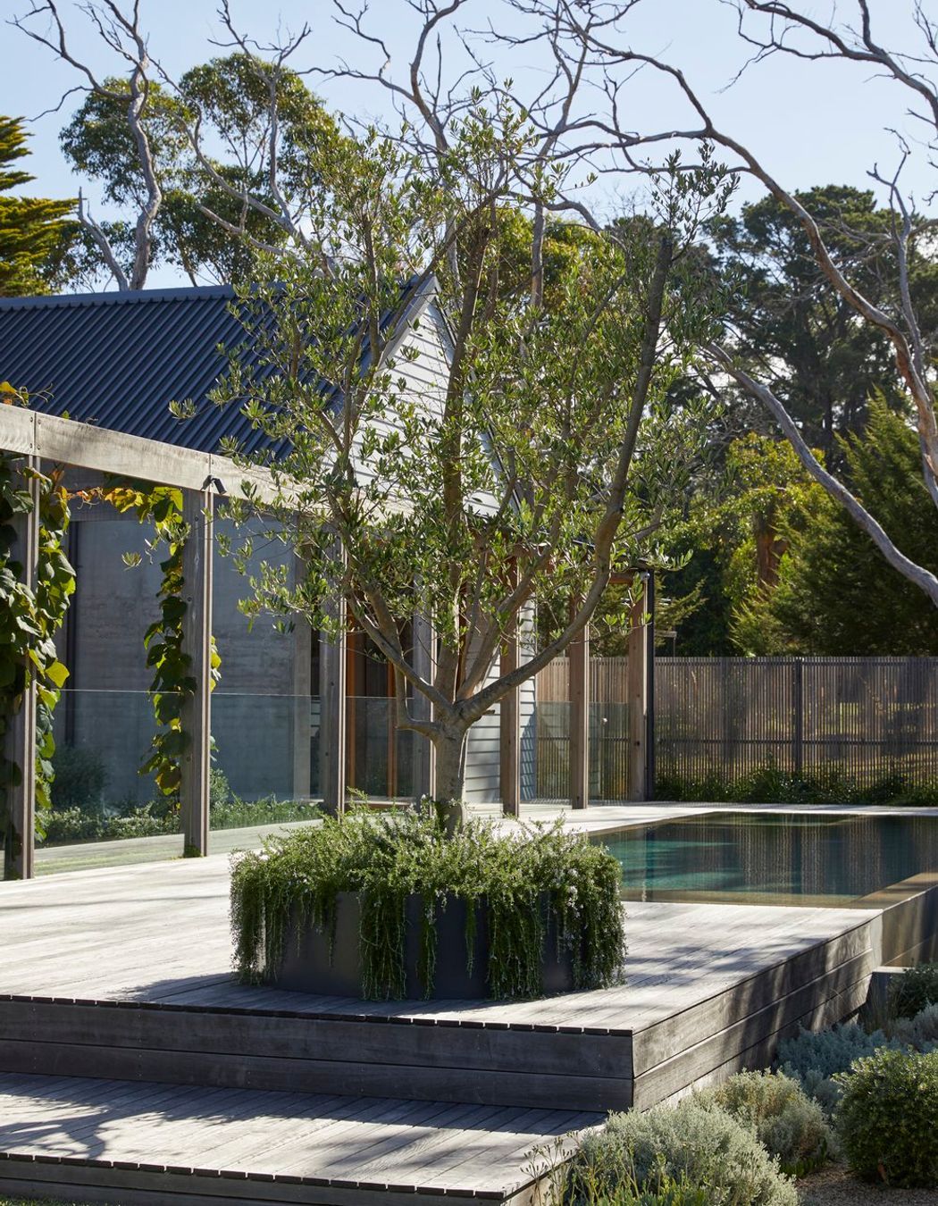Honeysuckle House Shoreham by Planned Living Architects | Photography by Derek Swalwell