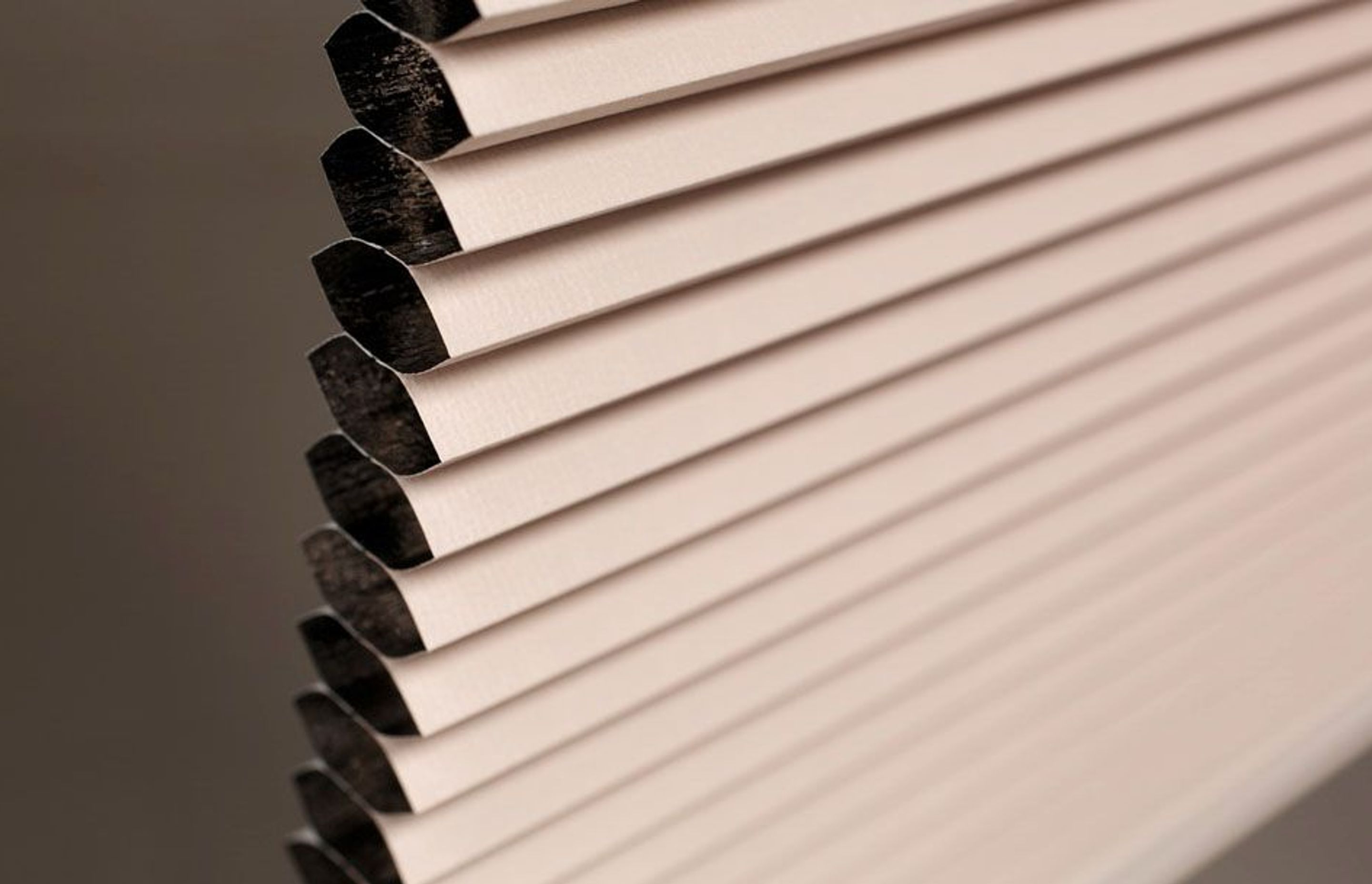 Simply Cell Honeycomb Blinds by Blinds by Peter Meyer