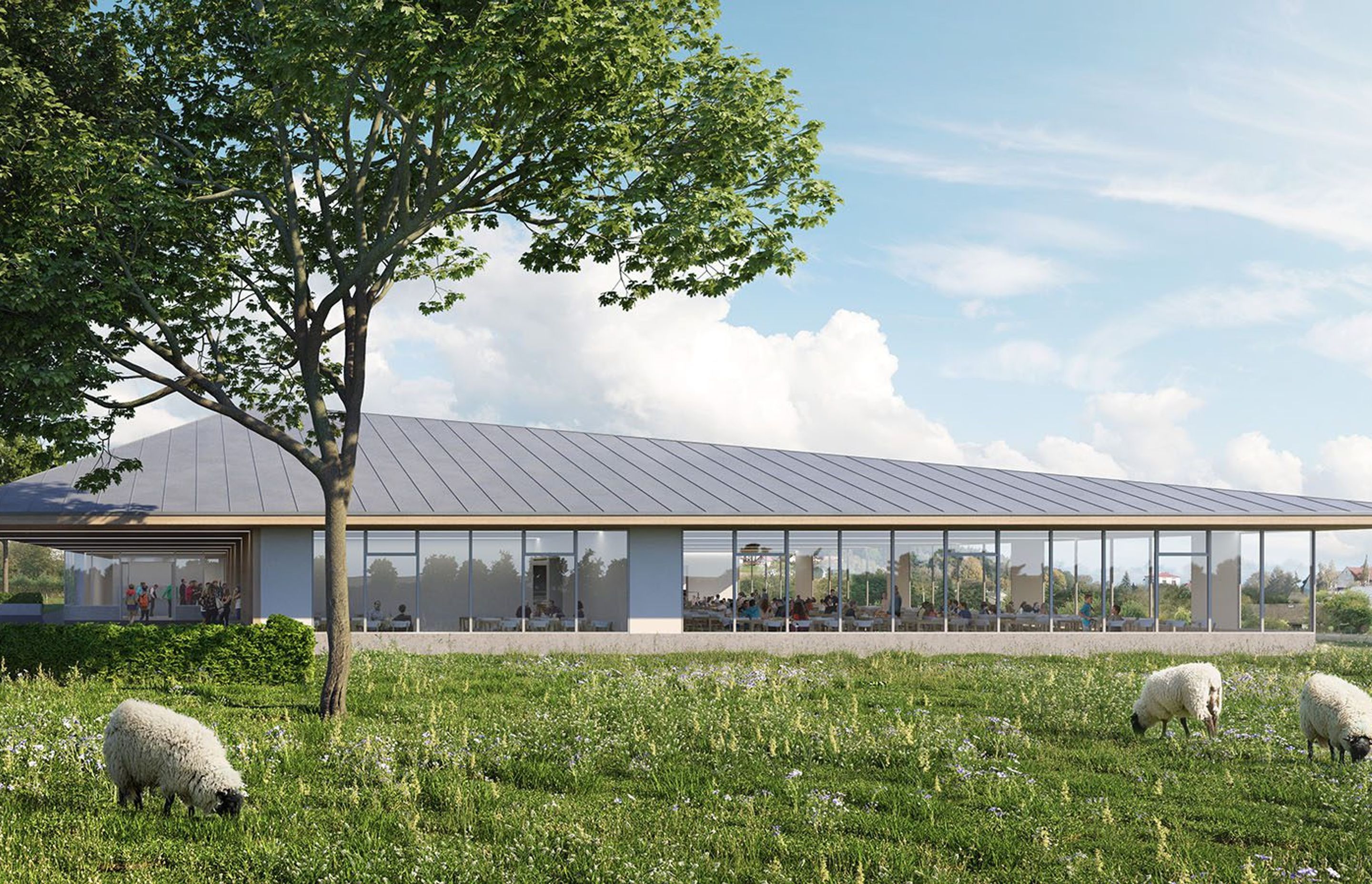SketchUp Pro 2022