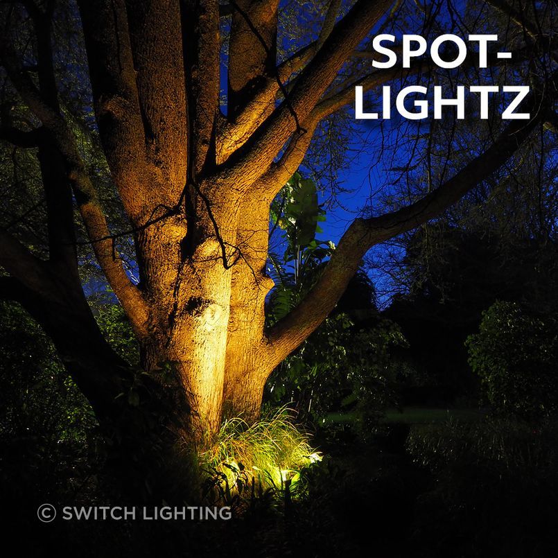 Switch-Lighting-Winter-Warm-Light-Exterior-Spot-Lightz.jpg