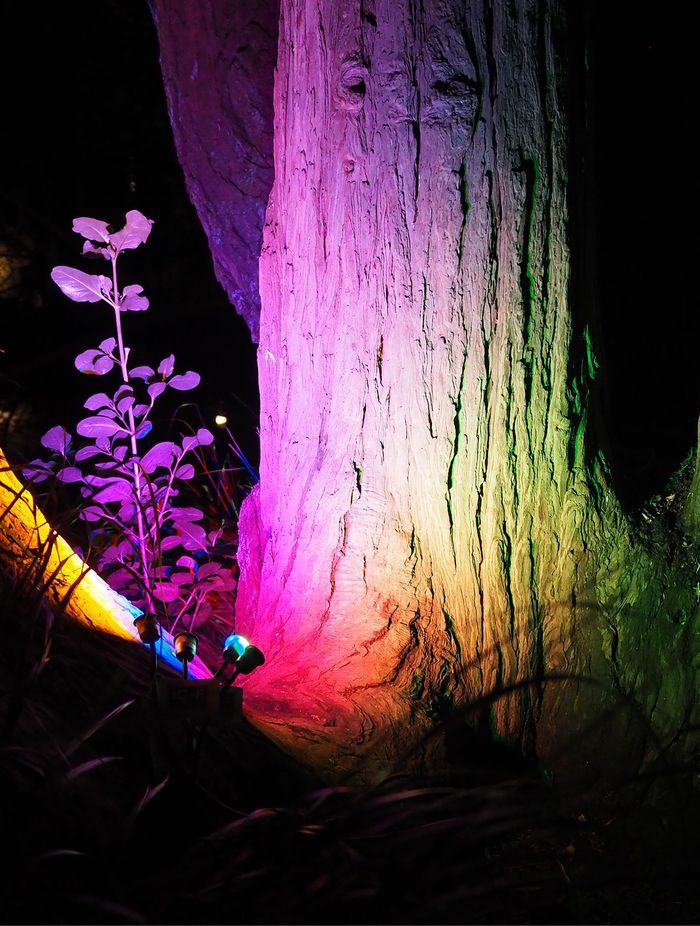 Switch Lighting Mini-LIGHTZ Colours