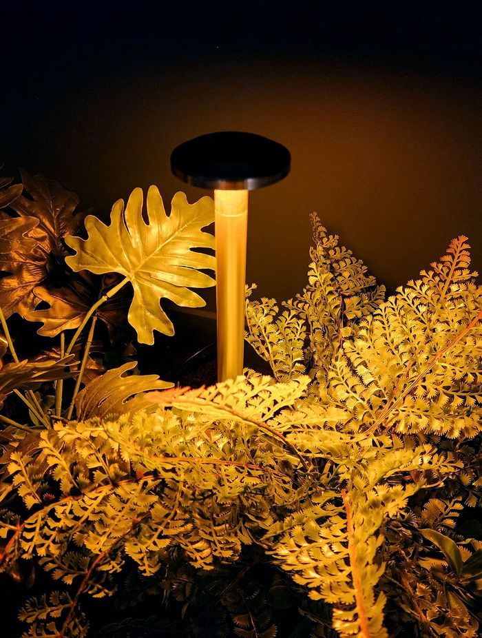 Switch Lighting Path Light 1