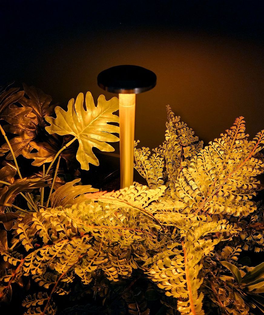 Switch Lighting Path Light 1