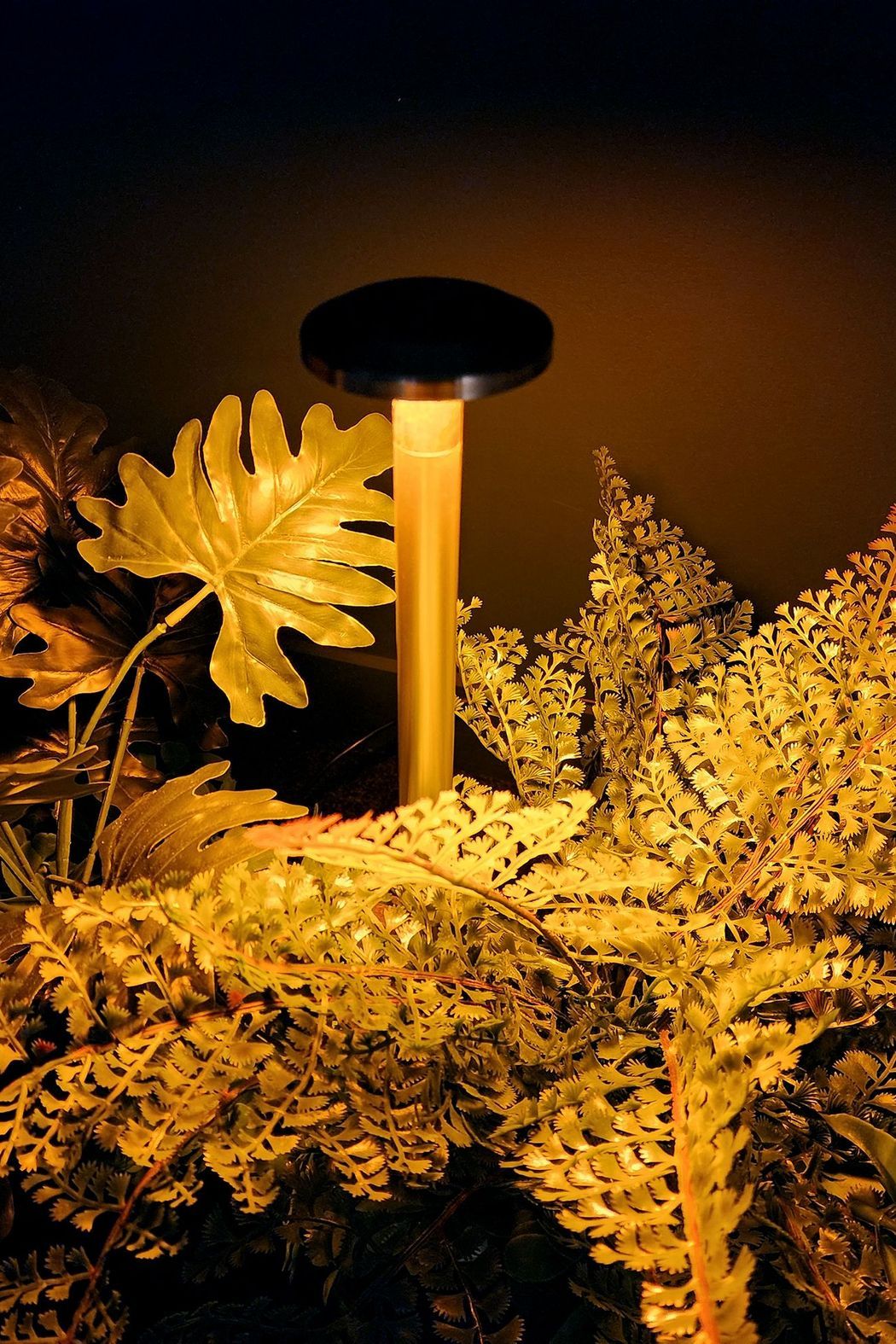 Switch Lighting Path Light 1