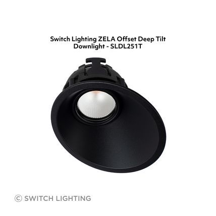 Switch-Lighting-luminaire-4-SLDL251T-v3.jpg