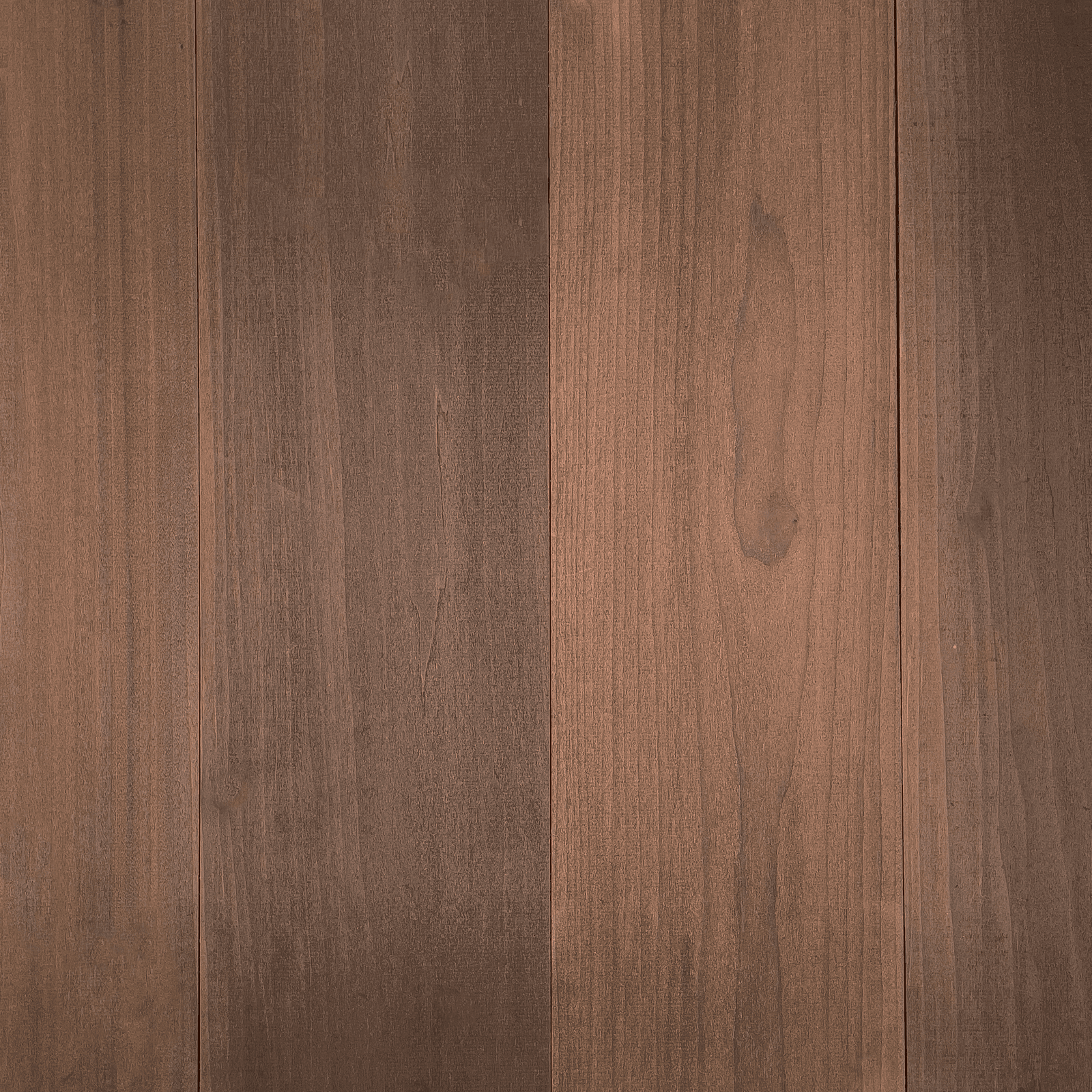 TMT-Taxon-TW-Boardsuncoated.png