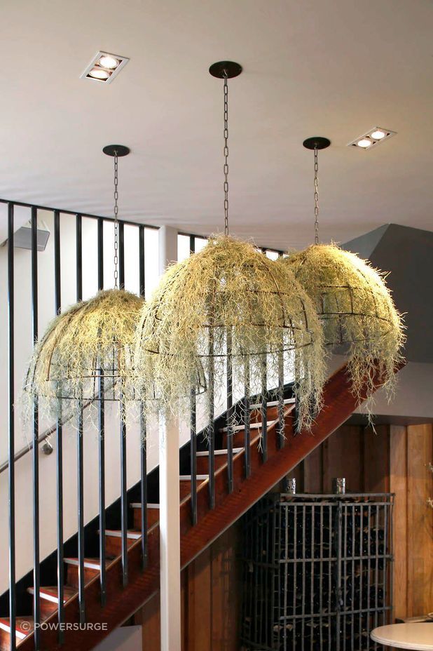 Powersurge's steel plant baskets are handmade to suit your brand.