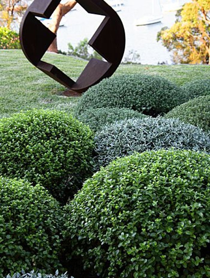 The shape of things to come: Introducing sculpture to the garden