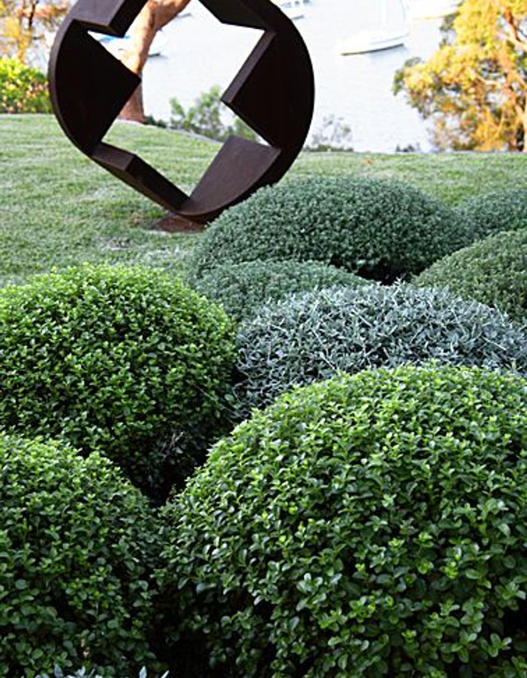 The shape of things to come: Introducing sculpture to the garden