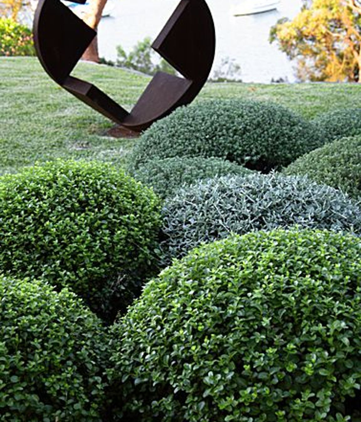 The shape of things to come: Introducing sculpture to the garden