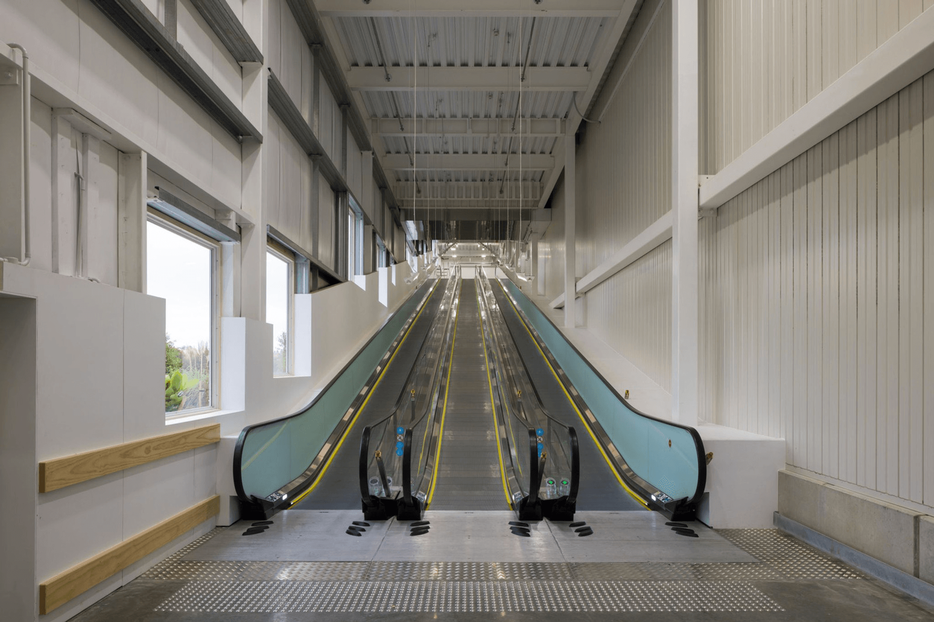 (All photo credit to Mark Scowen Photographer)