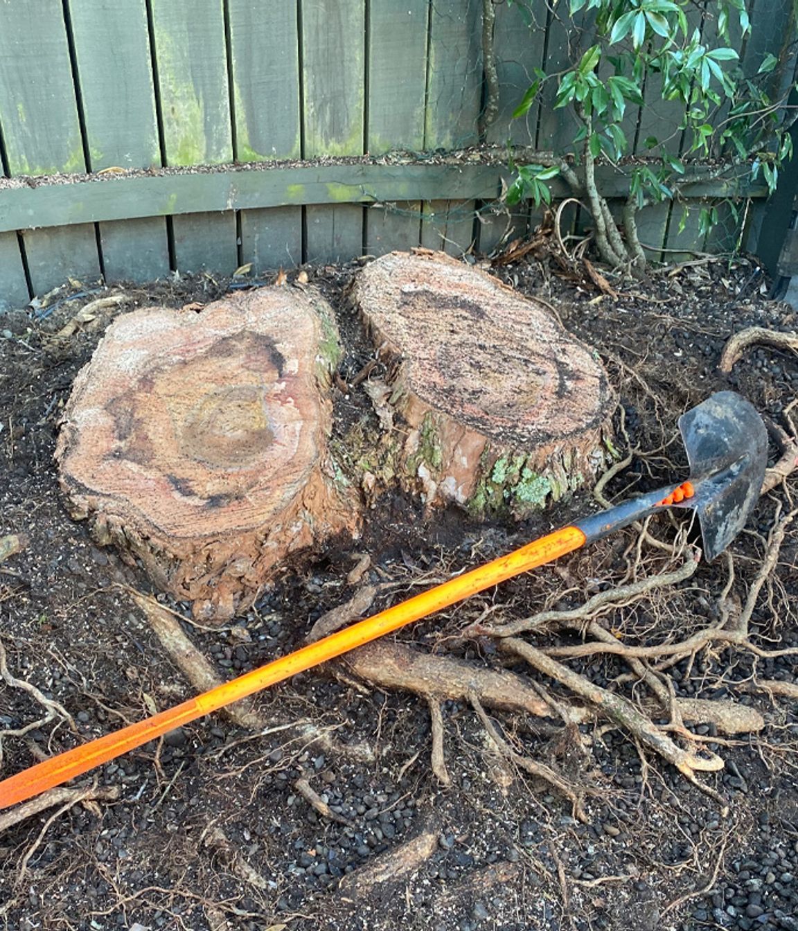 Tree-Stump-01-v1.jpg