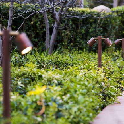 Elevate your landscaping: Lighting with ‘living’ finishes