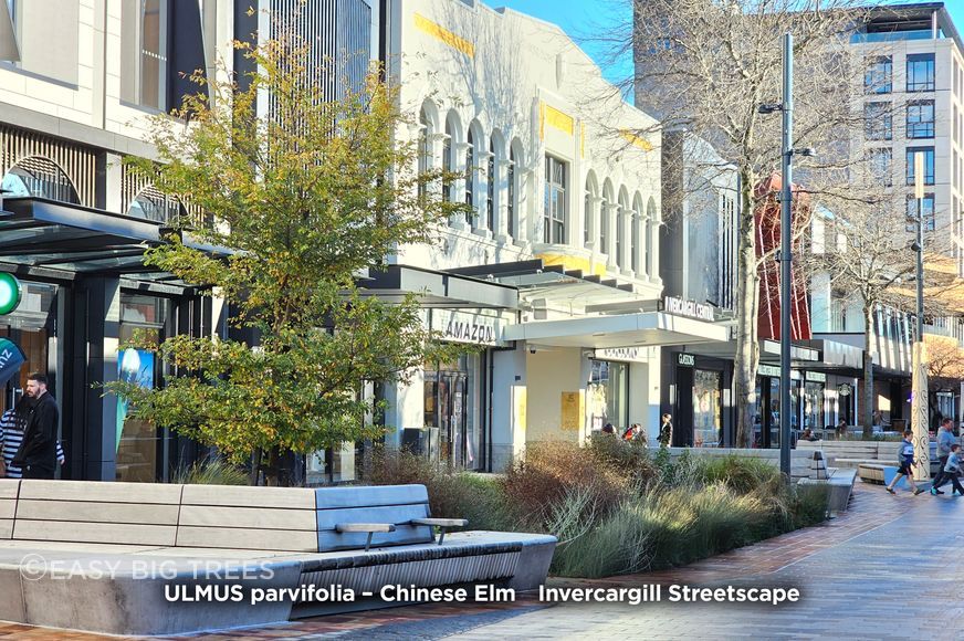 ULMUS-PAR-Standard-Project-banner-1500x1000px.jpg
