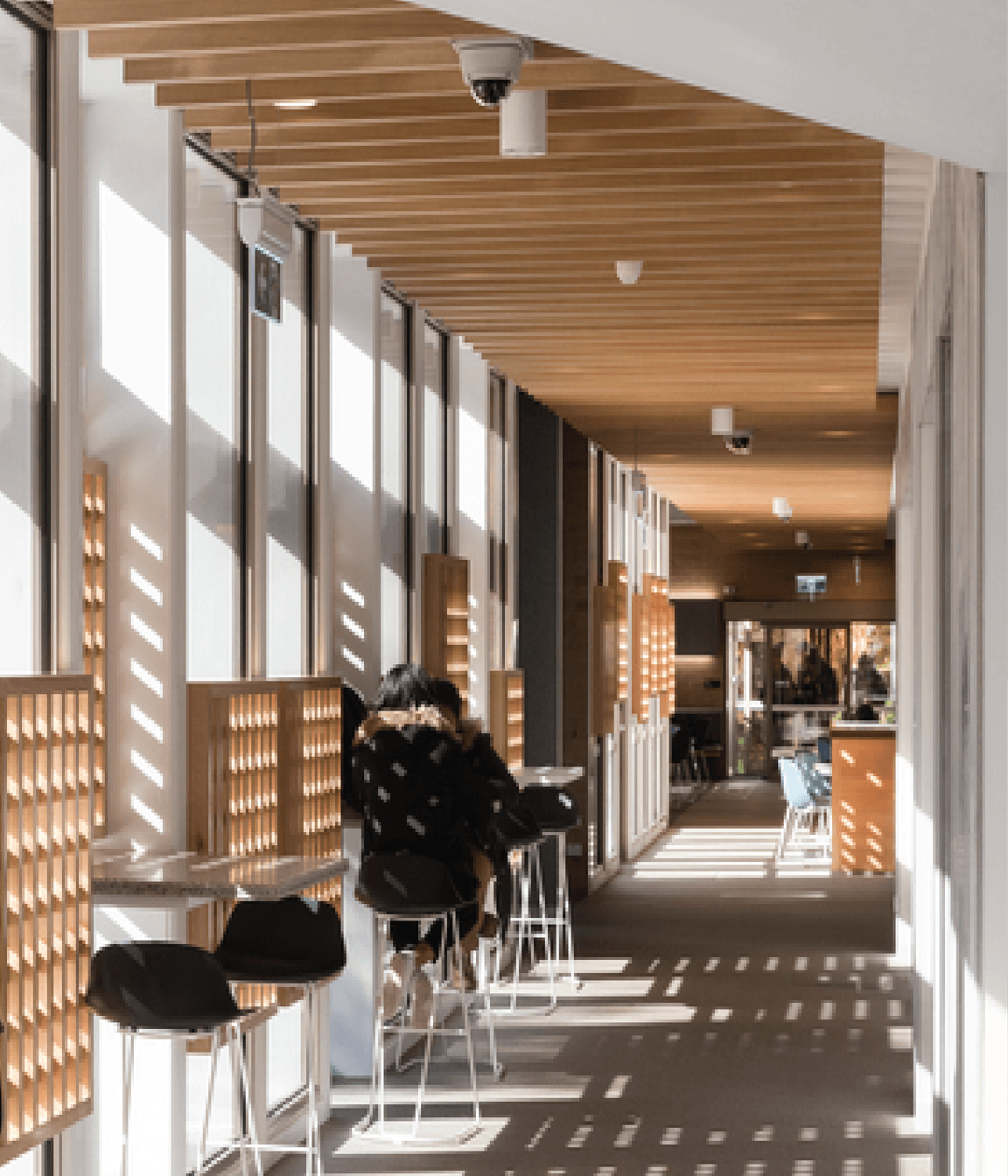 The Possibilities of Quartz Carpet