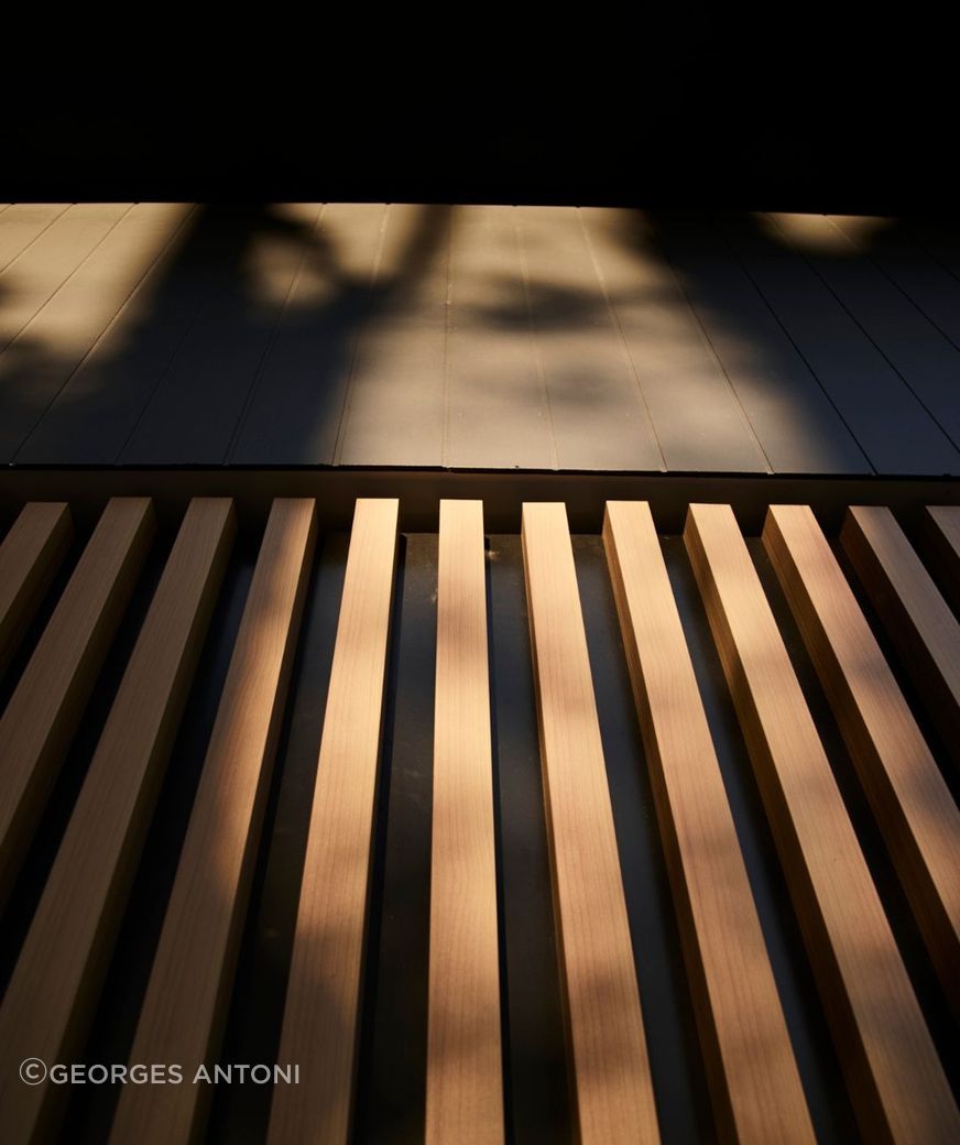 Untitled-design-2-v2.jpg