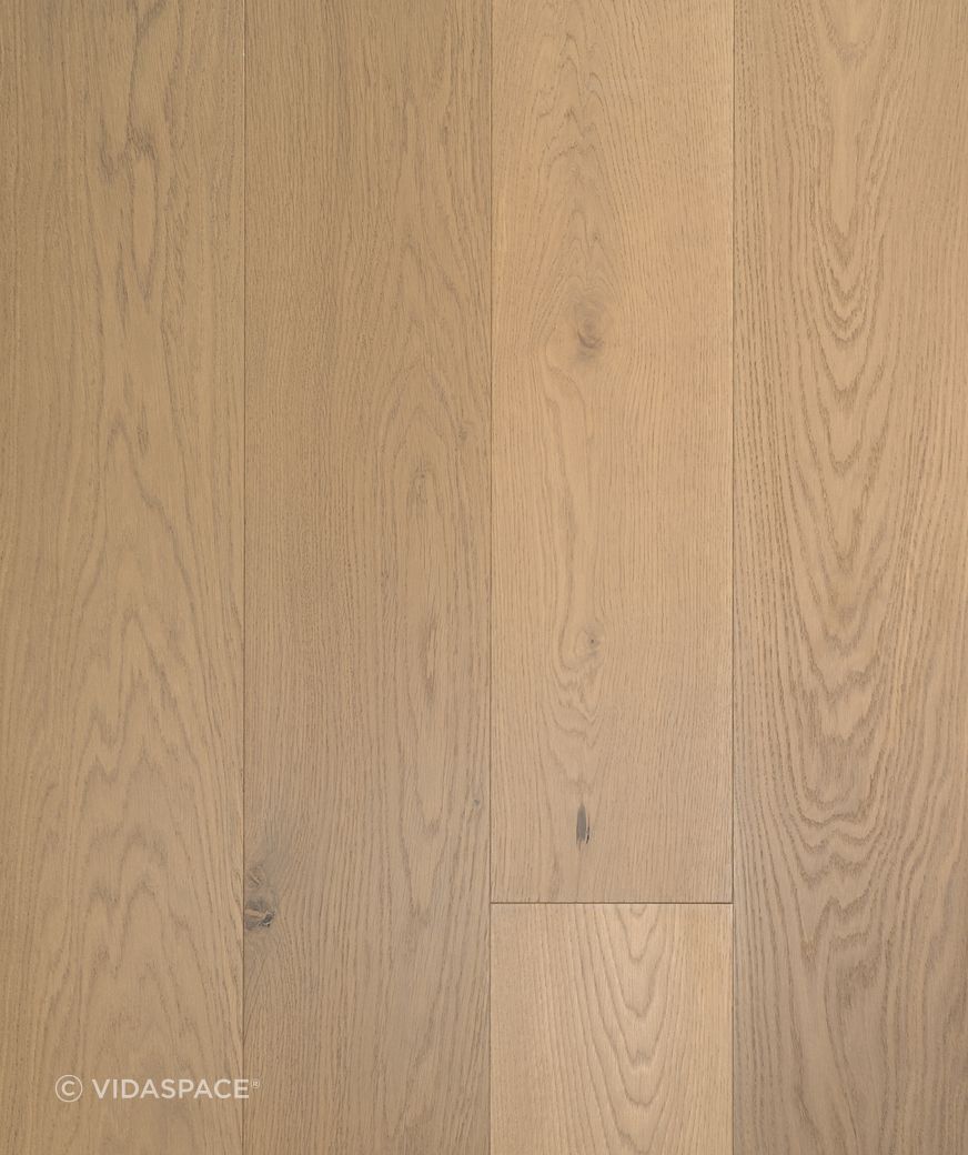 VS5302-DOMO-TRUNK.jpg