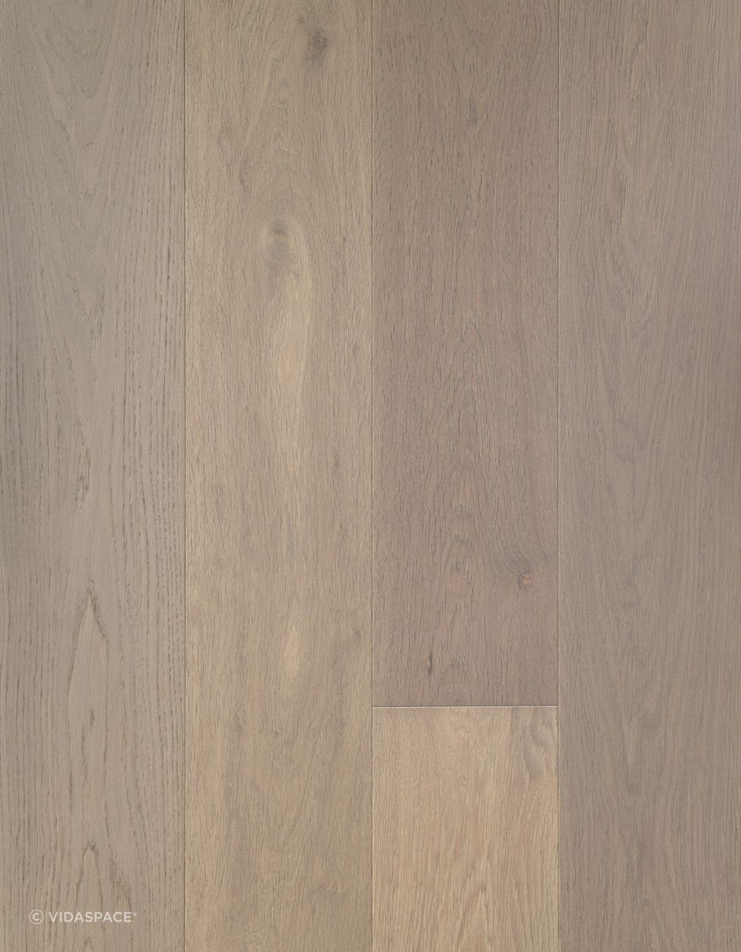 VS5303-VETRA-TRUNK.jpg