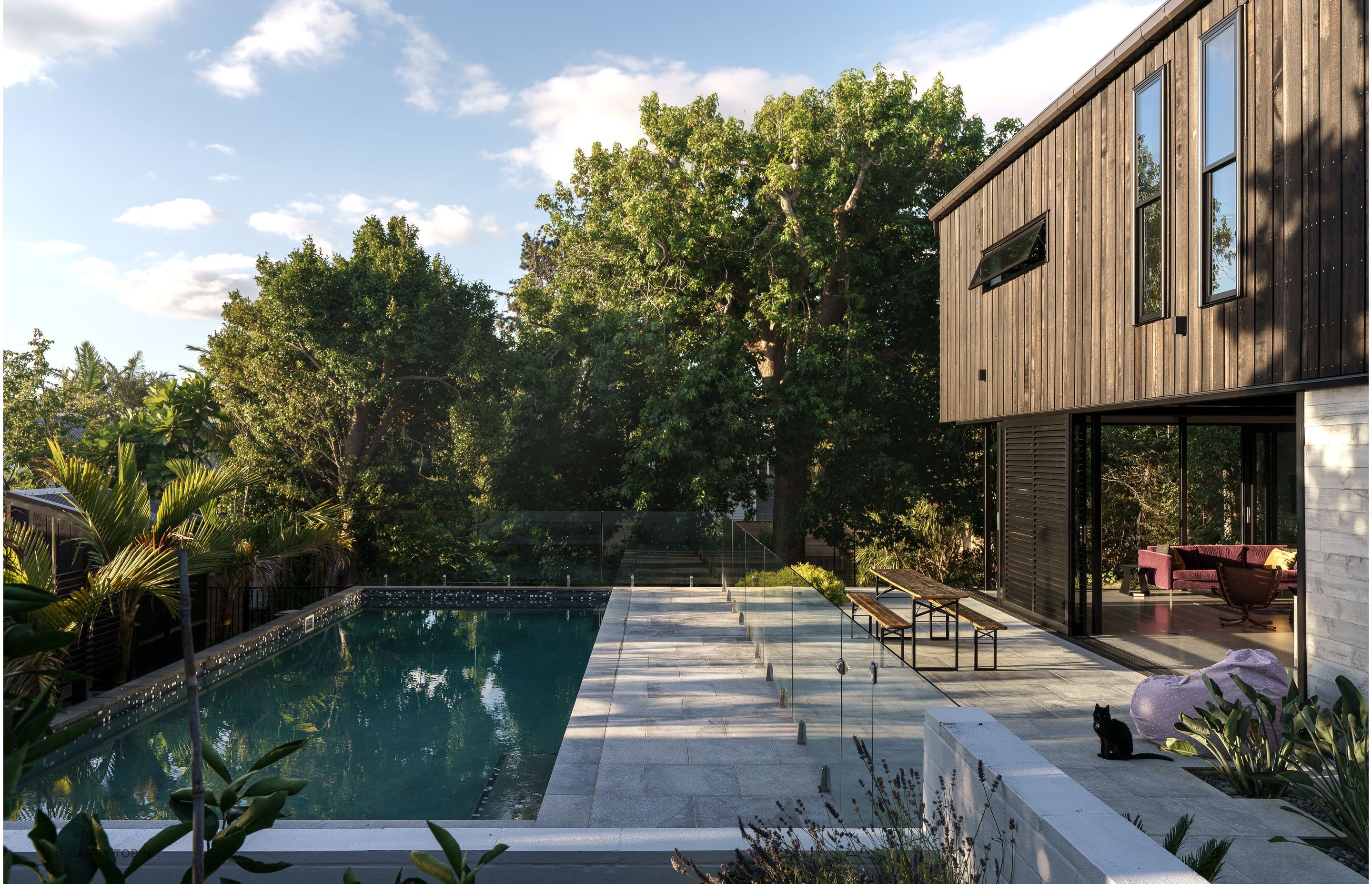 A large site means room for a pool. Landscape is also important and we designed around several existing mature trees, says Clive. “We have an arborist check all our trees on a regular basis, you have to when you get really big mature trees.”
