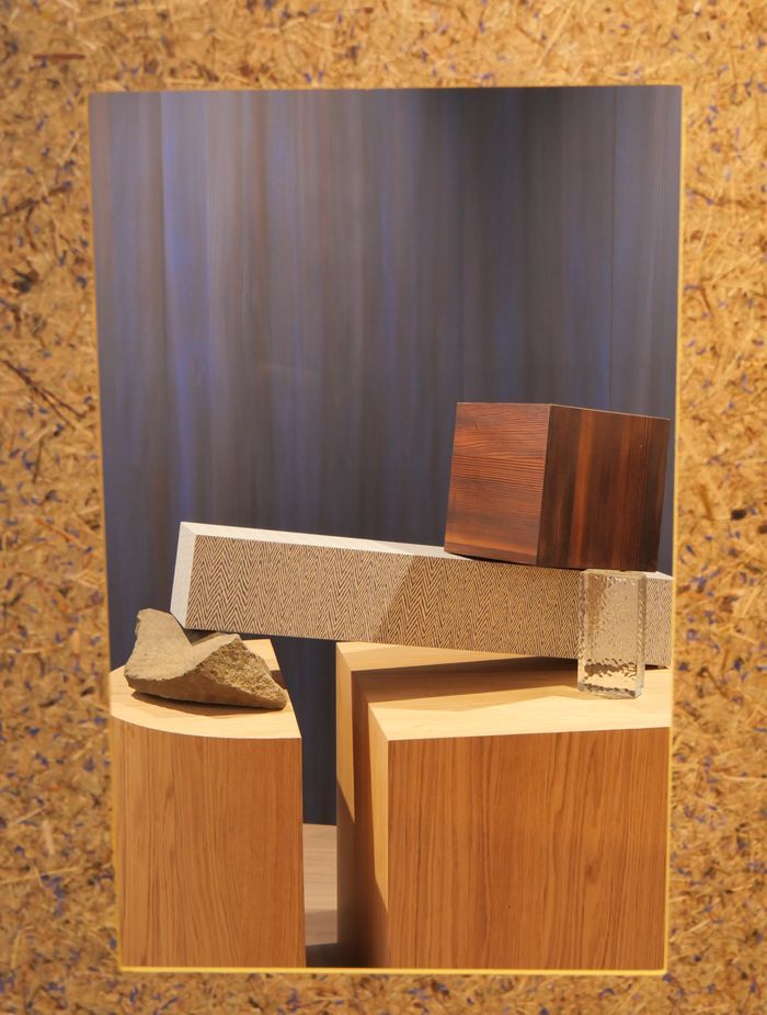 Nordus Veneer - Winter Larch