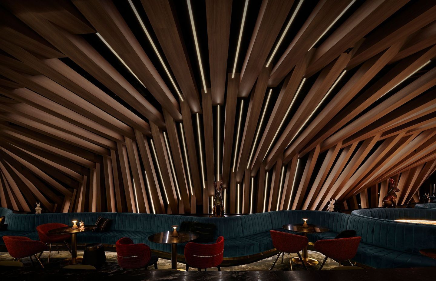 Curious by Hachem | Photography by Nicole Reed