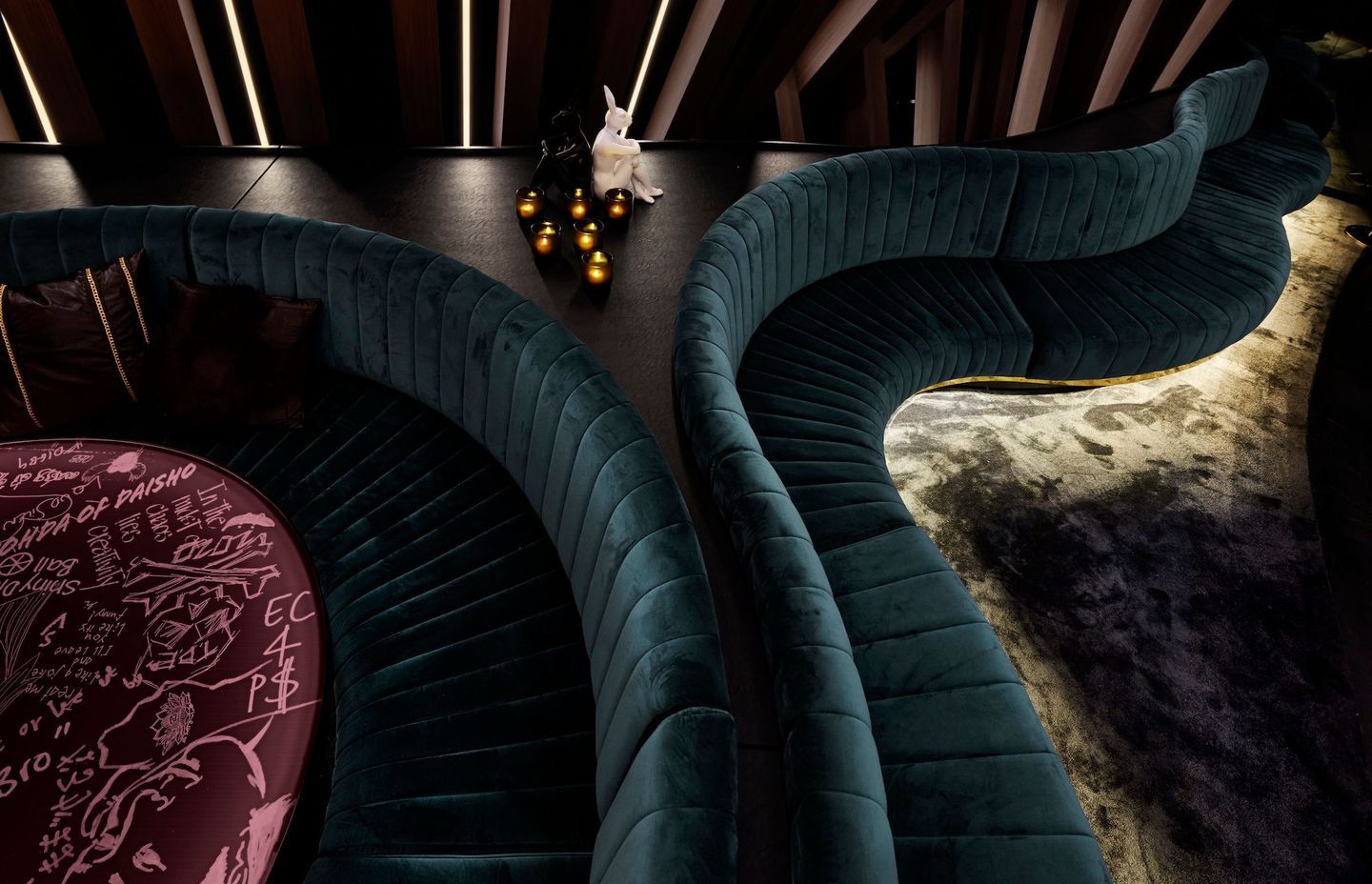 Curious by Hachem | Photography by Nicole Reed