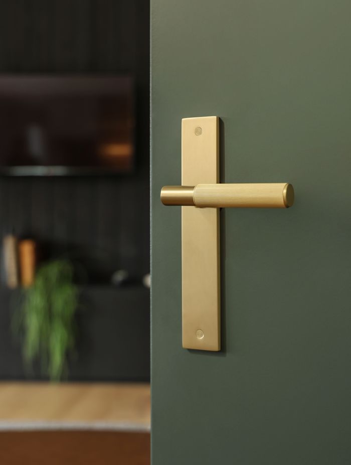 The sophisticated NIDO linear knurl in gold finish elevates the door.