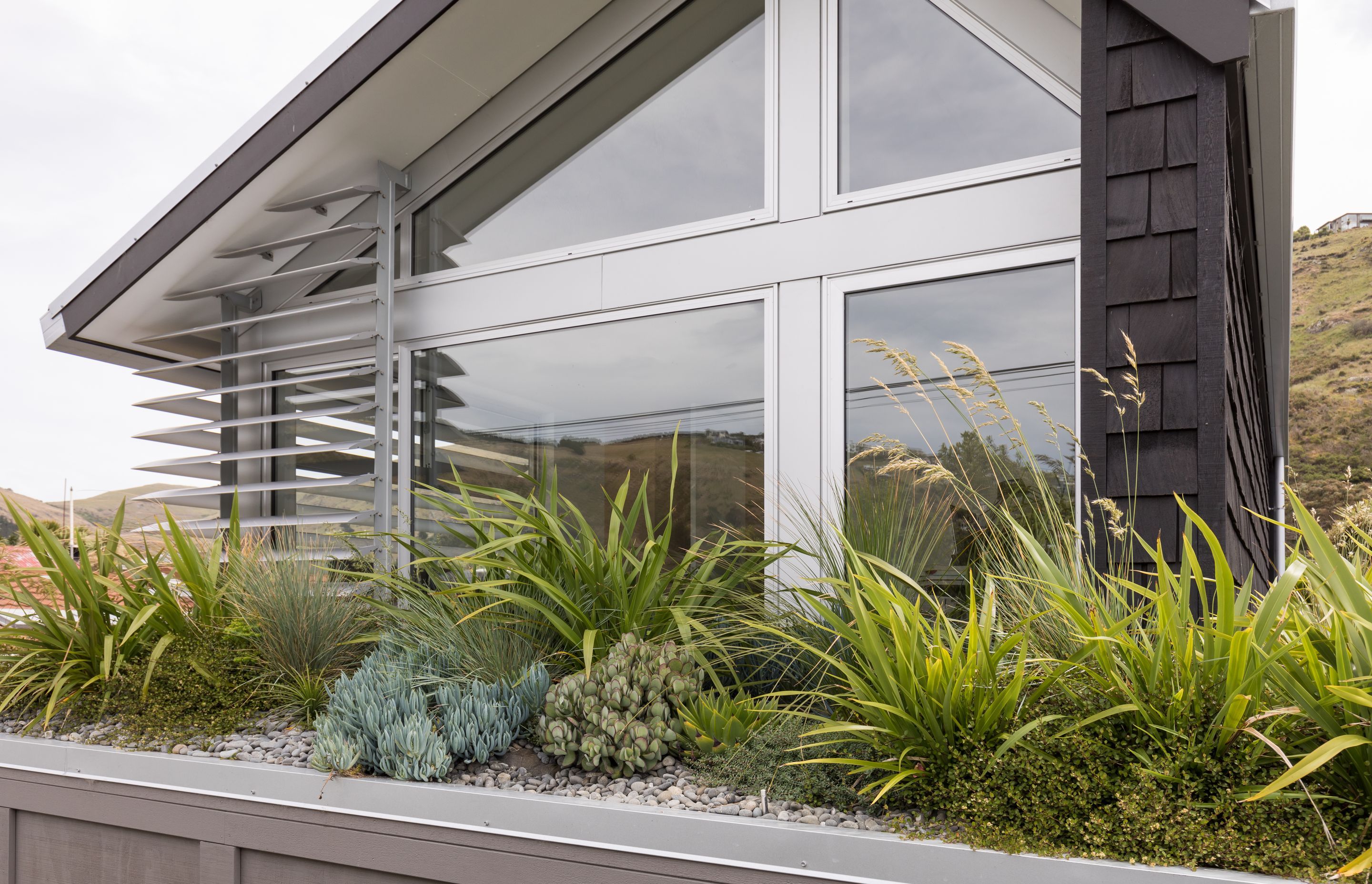 Consisting of 115 plants from 13 species, this Christchurch green roof installation won a gold award in the Residential Horticulture category of the 2021 Landscapes of Distinction awards.