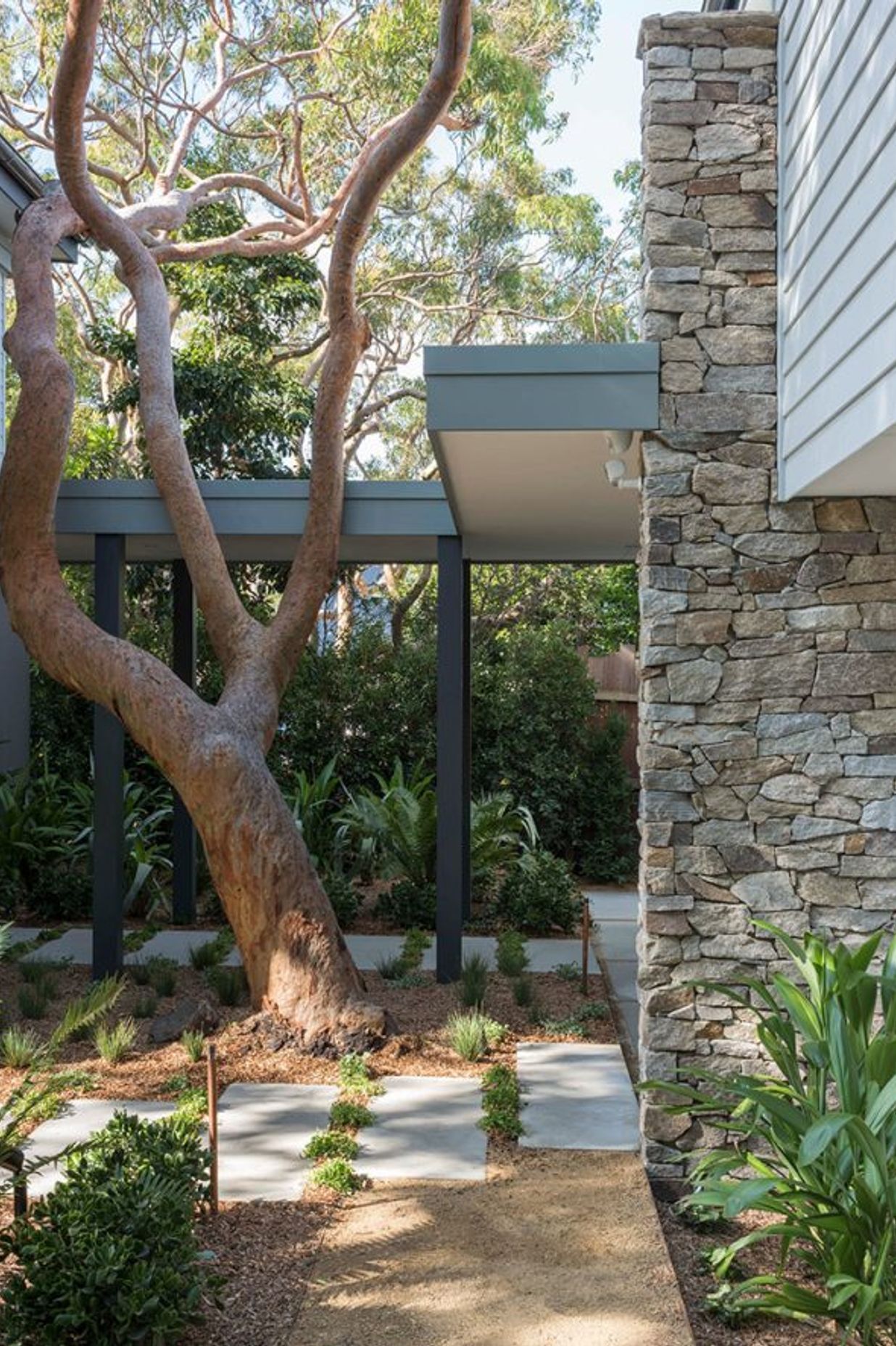 Why it’s time to stop throwing shade at trees