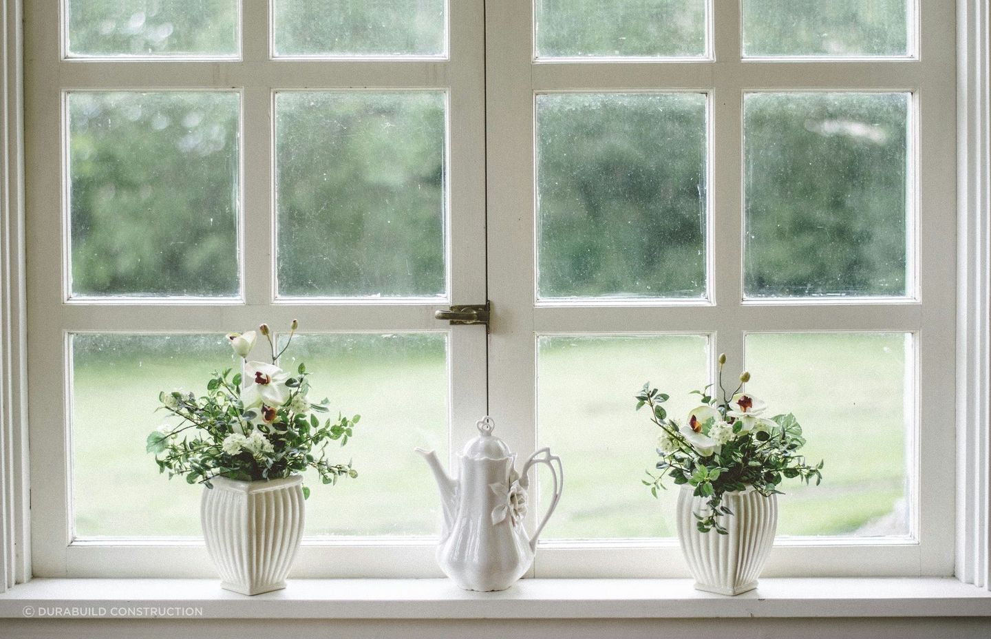 Window-draft.jpg