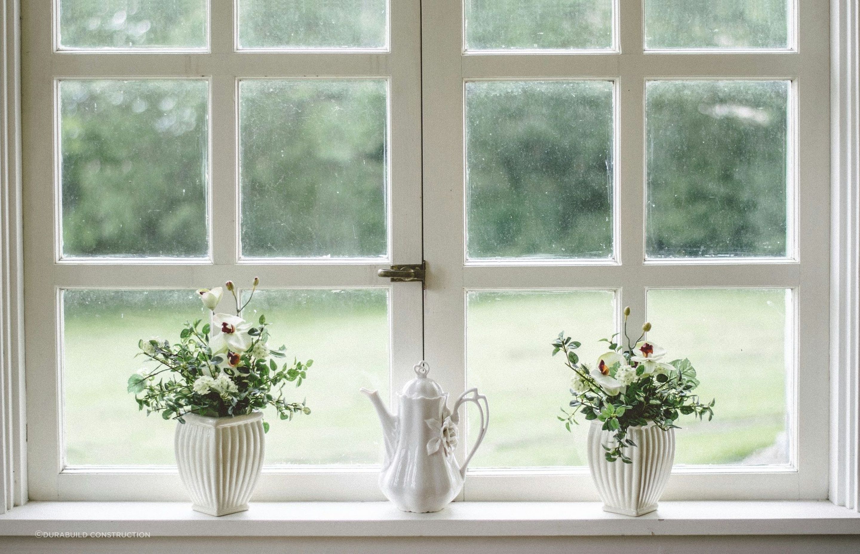 Window-draft.jpg