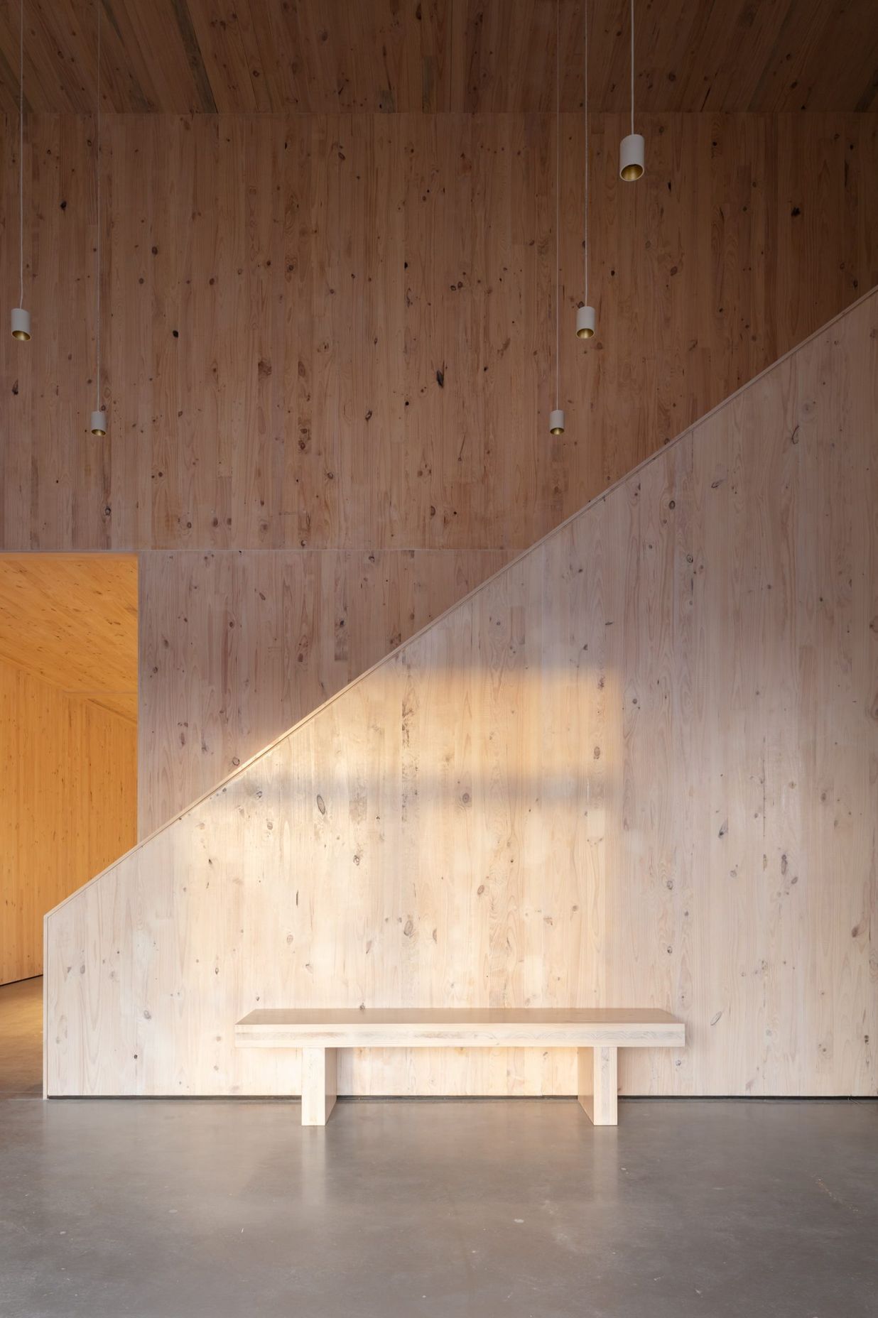 XLam CLT natural, healthy choice for pre-fab firm’s workplace environment