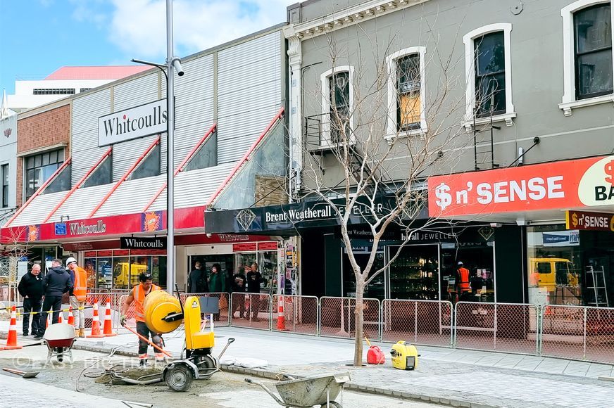 Zelkova-serrata-George-St-Dunedin-Oct-2022.jpg