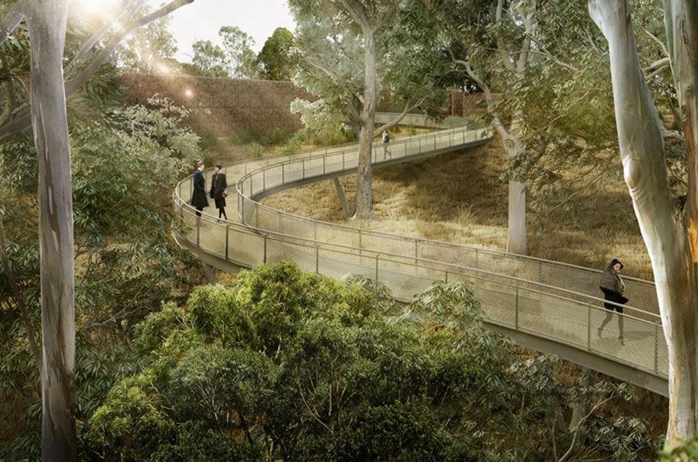 Graves Reached using GPS Proposed for Bushland Cemetery near Sydney