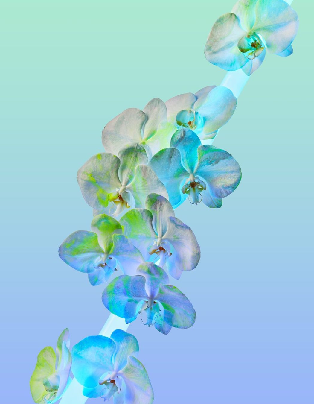 NEON DREAMS: BLUE | TWOSTYLE X AF FINE ART PRINT from A$270.00