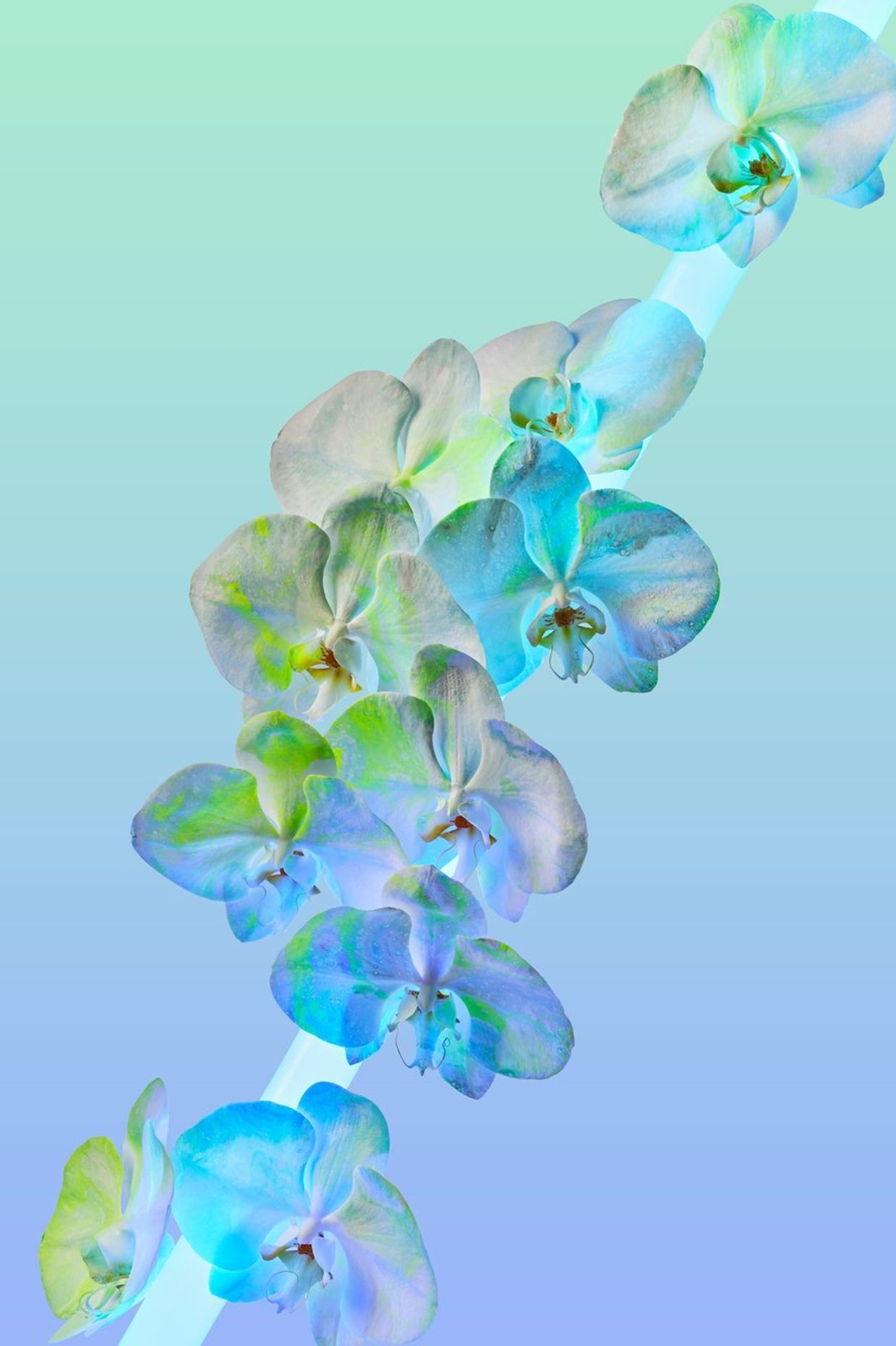 NEON DREAMS: BLUE | TWOSTYLE X AF FINE ART PRINT from A$270.00