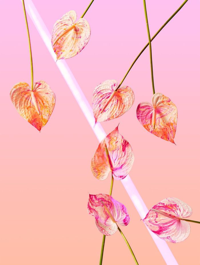 NEON DREAMS: PINK | TWOSTYLE X AF Fine Art Print from A$270.00