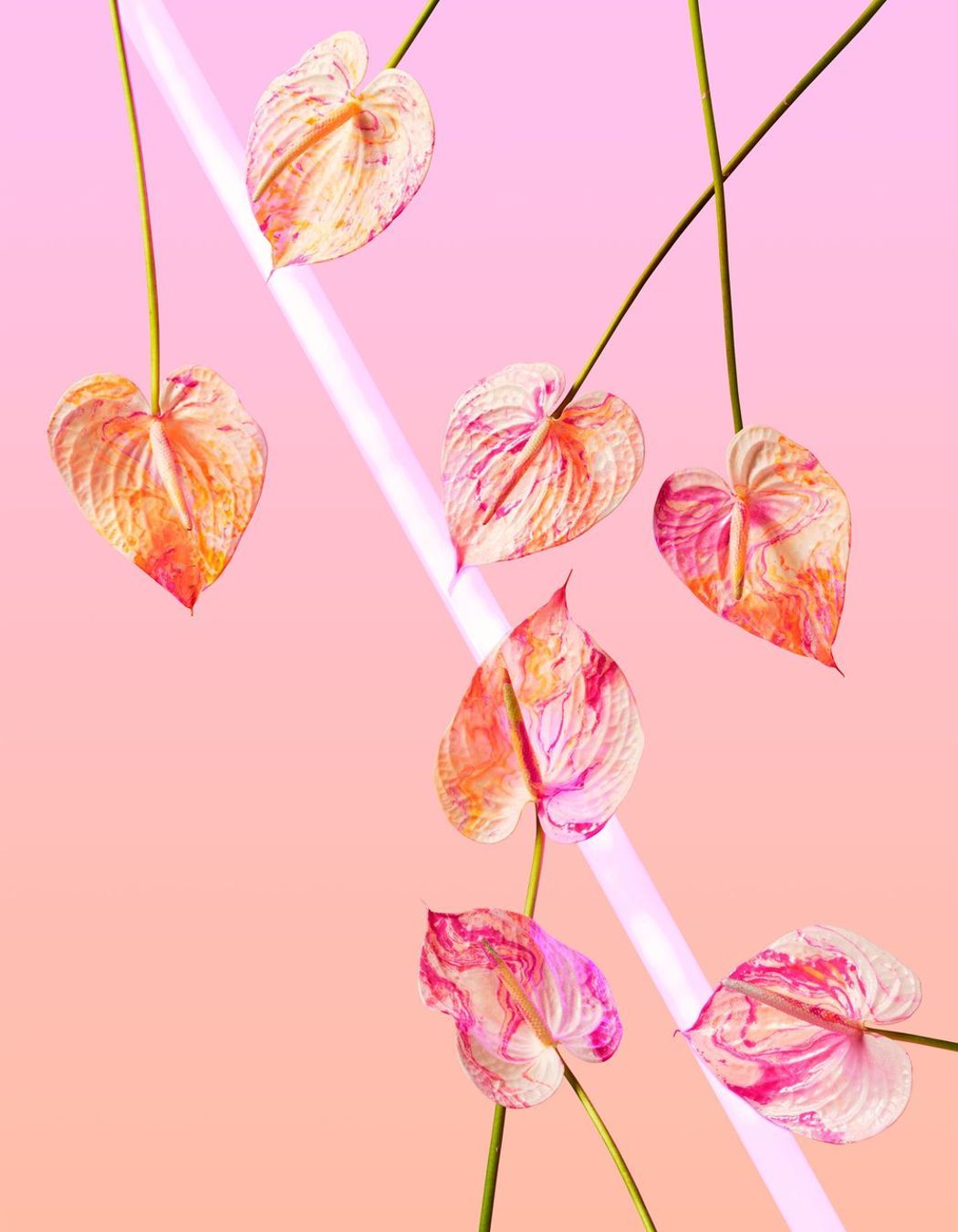 NEON DREAMS: PINK | TWOSTYLE X AF Fine Art Print from A$270.00