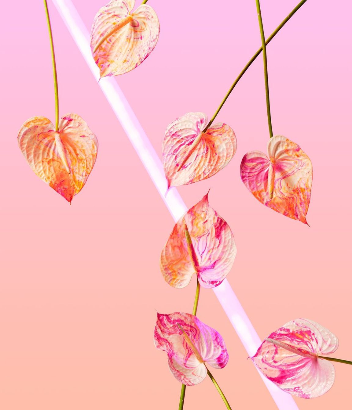 NEON DREAMS: PINK | TWOSTYLE X AF Fine Art Print from A$270.00