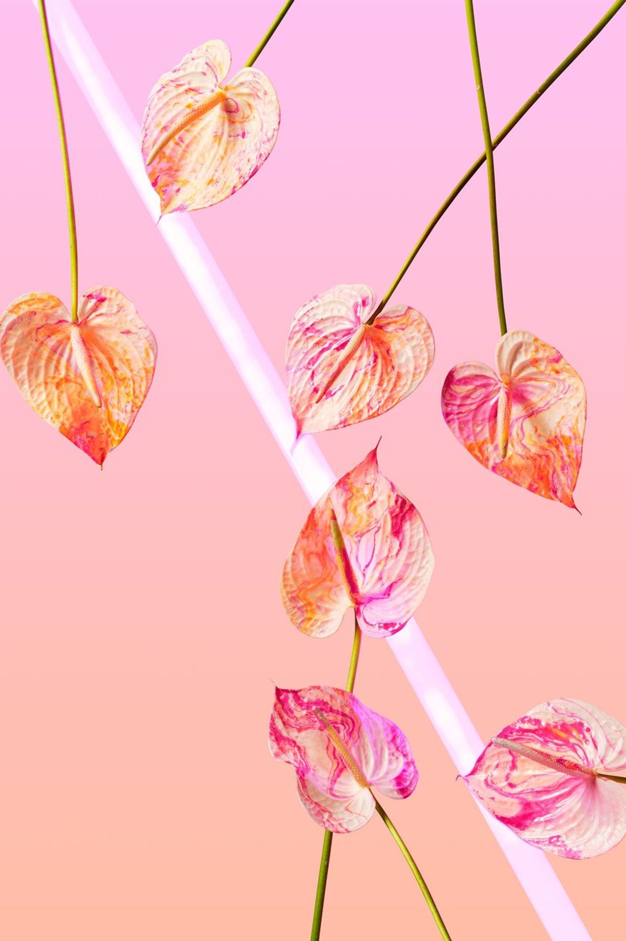 NEON DREAMS: PINK | TWOSTYLE X AF Fine Art Print from A$270.00