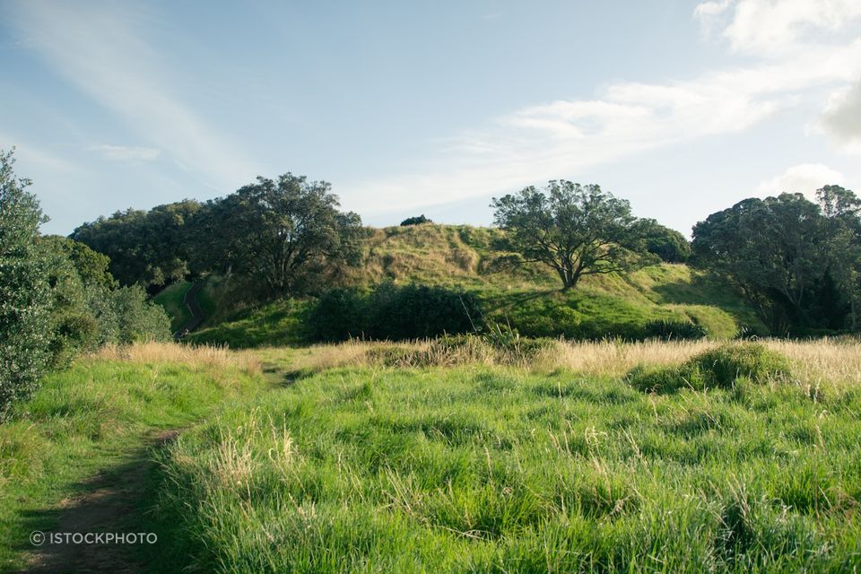 andrew-yu-5iNOZWSkWU-unsplash.jpg