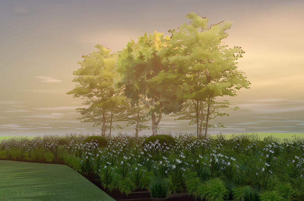 archipro-BackgroundLitFog-2.jpeg