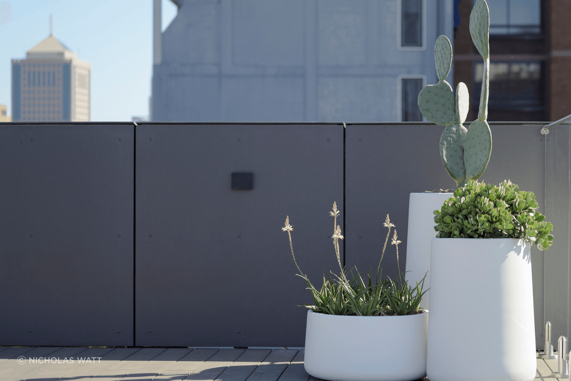 balcony-garden-2-1.png